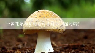 干黄花菜和茶树菇可不可以一起炖鸡？