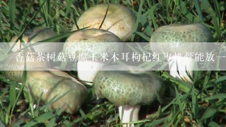 香菇茶树菇豆腐玉米木耳枸杞红枣排骨能放一起煮吗