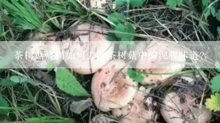 茶树菇烧肉如何去除茶树菇中的泥腥味道？