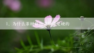 为什么茶树菇泡完后还是硬的