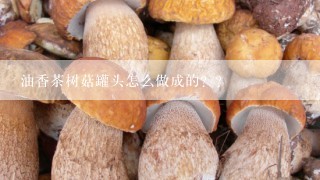 油香茶树菇罐头怎么做成的？？