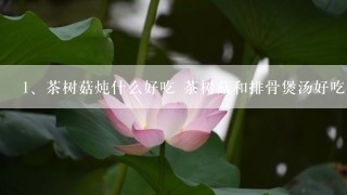 茶树菇炖什么好吃 茶树菇和排骨煲汤好吃