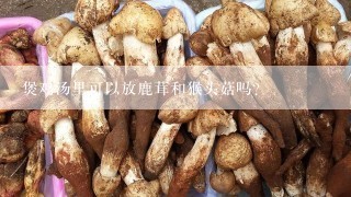 煲鸡汤里可以放鹿茸和猴头菇吗？