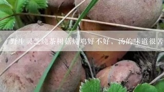 野生灵芝炖茶树菇炖鸡好不好，汤的味道很苦，有没有副作用