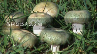 茶树菇烧肉怎么做