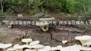 喝西洋参有什么好处和坏处 西洋参片哪些人不能喝