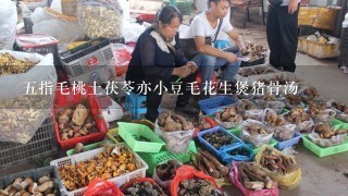 五指毛桃土茯苓亦小豆毛花生煲猪骨汤