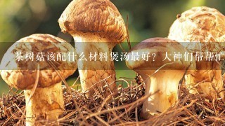 茶树菇该配什么材料煲汤最好？大神们帮帮忙