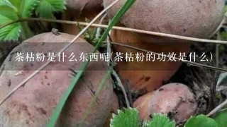 茶枯粉是什么东西呢(茶枯粉的功效是什么)