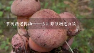 茶树菇老鸭汤——滋阴养颜增进食欲