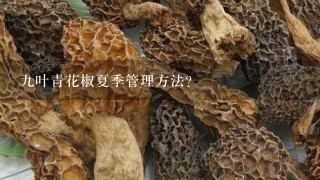 九叶青花椒夏季管理方法？