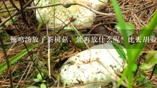 顿鸡汤放了茶树菇，能再放什么呢？比去胡萝卜可以吗？