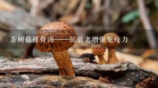 茶树菇排骨汤——抗衰老增强免疫力