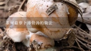 茶树菇萝卜排骨汤的做法