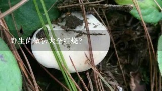 野生菌做法大全红烧？