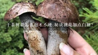 干茶树菇怎么泡才不硬 秘诀就是加点白糖？