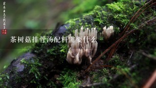 茶树菇排骨汤配料需要什么