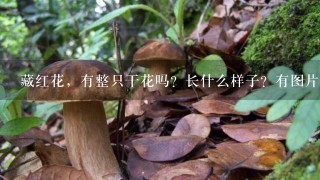 藏红花，有整只干花吗？长什么样子？有图片吗？