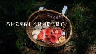 茶树菇要配什么材料煲汤最好？