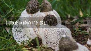 润肺止咳汤的12种做法