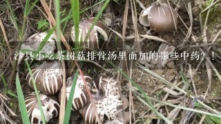 沙县小吃茶树菇排骨汤里面加的哪些中药？！