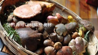 煲鸭汤可以放哪些食材