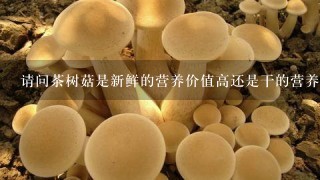 请问茶树菇是新鲜的营养价值高还是干的营养价位高啊