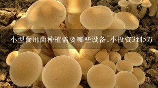 小型食用菌种植需要哪些设备,小投资3到5万