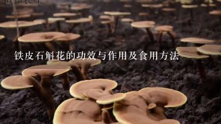 铁皮石斛花的功效与作用及食用方法