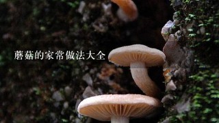 蘑菇的家常做法大全