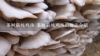 茶树菇炖鸡汤 茶树菇炖鸡汤的做法介绍