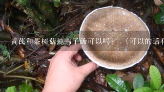 黄芪和茶树菇炖鸭子汤可以吗？ （可以的话有什么作用？）