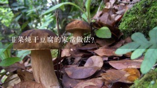 韭菜炖干豆腐的家常做法？