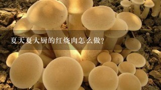 夏天夏大厨的红烧肉怎么做?