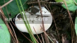 炖鸽子汤怎么炖好吃又营养