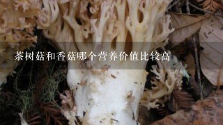 茶树菇和香菇哪个营养价值比较高