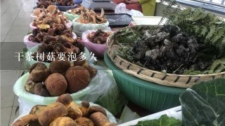 干茶树菇要泡多久