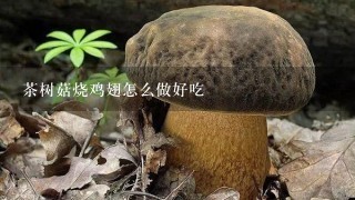 茶树菇烧鸡翅怎么做好吃