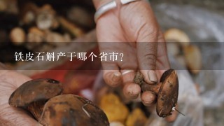 铁皮石斛产于哪个省市?