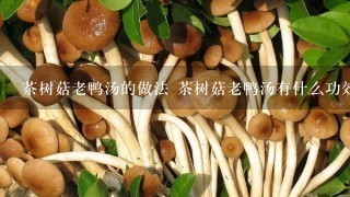 茶树菇老鸭汤的做法 茶树菇老鸭汤有什么功效