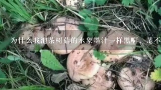 为什么我泡茶树菇的水象墨汁一样黑啊，是不是茶树菇染了颜色啊。