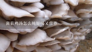 菌菇鸡汤怎么炖好喝又营养