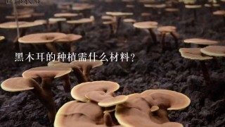 黑木耳的种植需什么材料？