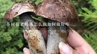 茶树菇老鸭汤怎么做如何做好吃