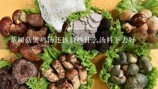 茶树菇煲鸡汤还该放些什么汤料下去好