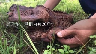 怎么在一星期内瘦20斤？