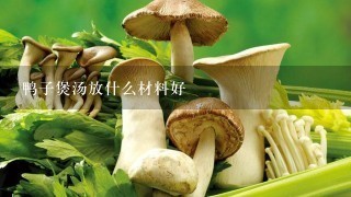 鸭子煲汤放什么材料好