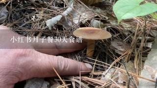 小红书月子餐30天食谱