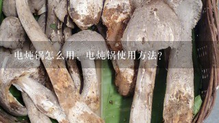 电炖锅怎么用，电炖锅使用方法？