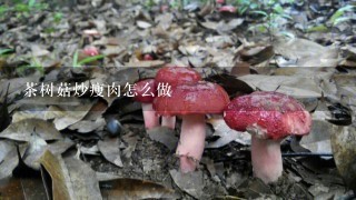 茶树菇炒瘦肉怎么做